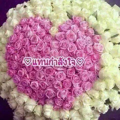 ยอดจัดได้  500,000 บาทคะ สอบถามhttps://web.facebook.com/TruckTakeHome/timeline?_rdr