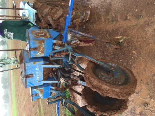 ขายเครื่องหยดข้าวโพด