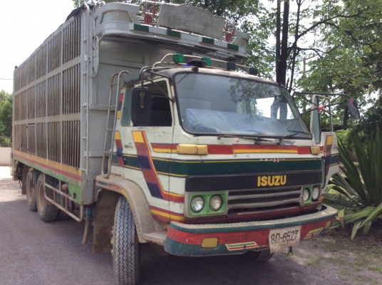 ISUZU 10ล้อ รถหมู (เพลาเดียว) เครื่อง Rocky175แรง เครื่องดี ยางดี ครัทซีสวย ขับดี รถใช้งานอยู่ ภาษีไม่ขาด ขาย 380,000 บาท ศุภากร 081-1903107, 081-4252943
