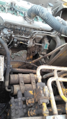 ขายโคมัสสุ120-2