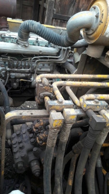 ขายโคมัสสุ120-2