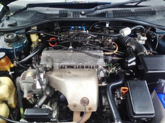 ท้ายโด่งปี 94 ถูกๆ 0882668605