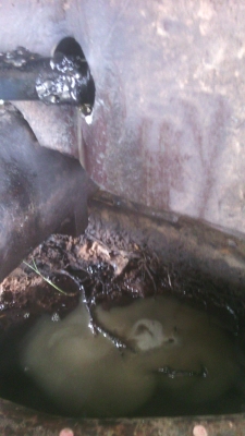 รถไถคูโบต้า34แรง