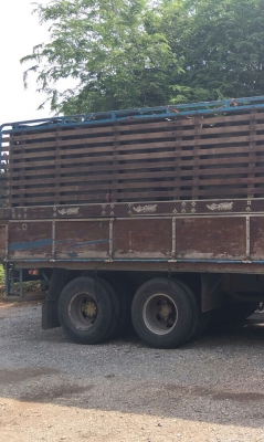 สิบล้อ มิตซู FUSO FN516M 6D16-195เพาเดียว ช่วงยาว 6.50ม สภาพดีสวยเดิมๆพร้อมใช้งาน ทะเบียนพร้อโอน สิบล้อ มิตซู FUSO FN516M 6D16-195เพาเดียว ช่วงยาว 6.50ม สภาพดีสวยเดิมๆพร้อมใช้งาน ทะเบียนพร้อโอน