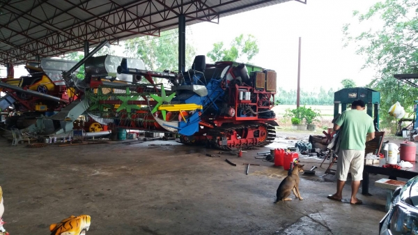 ขายรถเกี่ยวข้าวไทยเส็ง บิ้วใหม่ทังคัน ทำปากไหม่ ทำคอไหม่ ทำตู้ไหม่ อัดโซ่ไหม่ 2 ข้าง เช็คลูกปืนตัวเดินไหม่ เครื่องอีซูสุ 240ไม่มีโบ ปั้มไดกิ้น 23 ตัวเดิน  200 ระบบเกี่ยวแบบปั้มไฮดอลิก มีคายคอ ราคาต่อรองได้ 0929264063