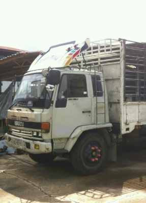 หกล้อ อีซูชุ ร็อคกี้ 165แรง กะบะคาโก้ยาว6.60ม รถห้างสภาพดีสวยเดิมๆพร้อมใช้งาน ทะเบีบนพร้อมโอน หกล้อ อีซูชุ ร็อคกี้ 165แรง กะบะคาโก้ยาว6.60ม รถห้างสภาพดีสวยเดิมๆพร้อมใช้งาน ทะเบีบนพร้อมโอน