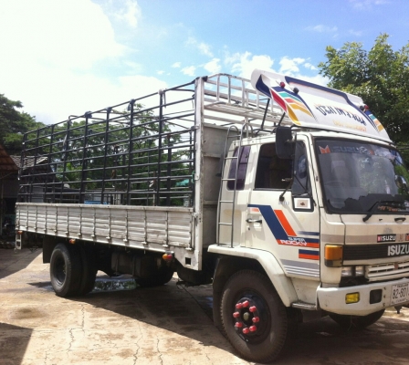 หกล้อ อีซูชุ ร็อคกี้ 165แรง กะบะคาโก้ยาว6.60ม รถห้างสภาพดีสวยเดิมๆพร้อมใช้งาน ทะเบีบนพร้อมโอน หกล้อ อีซูชุ ร็อคกี้ 165แรง กะบะคาโก้ยาว6.60ม รถห้างสภาพดีสวยเดิมๆพร้อมใช้งาน ทะเบีบนพร้อมโอน