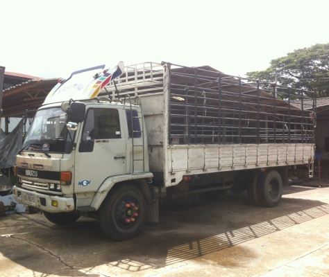 หกล้อ อีซูชุ ร็อคกี้ 165แรง กะบะคาโก้ยาว6.60ม รถห้างสภาพดีสวยเดิมๆพร้อมใช้งาน ทะเบีบนพร้อมโอน หกล้อ อีซูชุ ร็อคกี้ 165แรง กะบะคาโก้ยาว6.60ม รถห้างสภาพดีสวยเดิมๆพร้อมใช้งาน ทะเบีบนพร้อมโอน