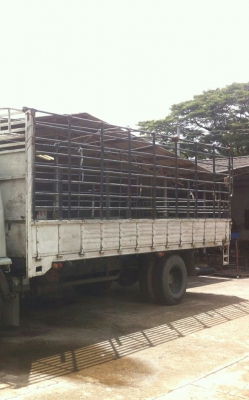 หกล้อ อีซูชุ ร็อคกี้ 165แรง กะบะคาโก้ยาว6.60ม รถห้างสภาพดีสวยเดิมๆพร้อมใช้งาน ทะเบีบนพร้อมโอน หกล้อ อีซูชุ ร็อคกี้ 165แรง กะบะคาโก้ยาว6.60ม รถห้างสภาพดีสวยเดิมๆพร้อมใช้งาน ทะเบีบนพร้อมโอน