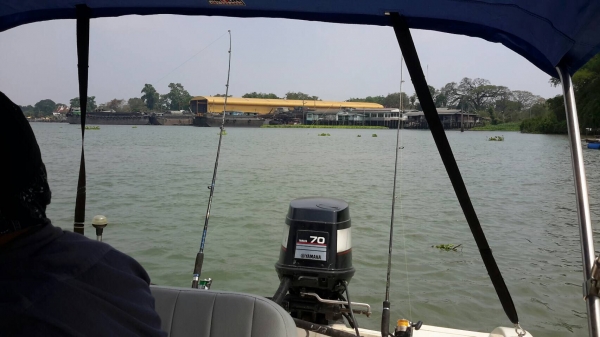 ขายเรือ14.6fเครื่องyamaha70แรงทริมไฟฟ้าพร้อมgpsราคา165,000