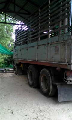 ขายรถสิบล้อคอกเกษตรไม่ดั้ม เปลียนหัวลงเล่มเรียบร้อย เครื่อง 176 KT 925 1 เพลา เบครทิบฟิบ ต้องการขายด