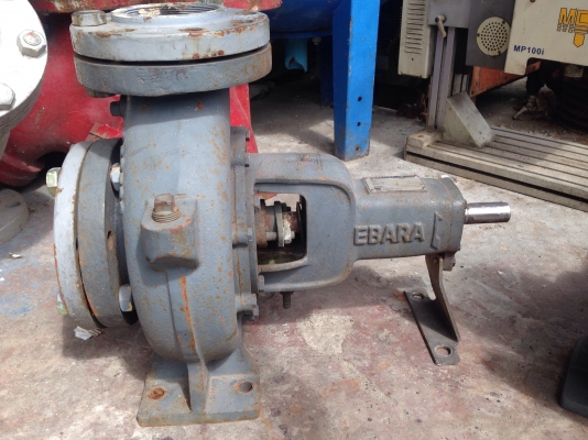 ขายหัวปั้มน้ำหอยโข่ง Ebara 100x80FSG ใบพัดทองเหลือง ขนาดเข้า 4นิ้ว ออก 3นิ้ว สภาพสวย วิ่งนิ่มเดิมๆ พร้อมใช้งาน มี 2ตัวครับ