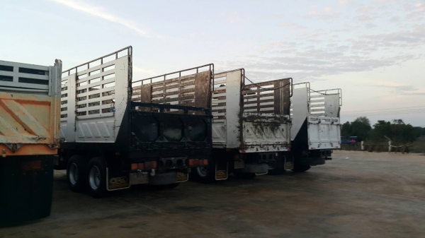 ขายด่วนสิบล้อเพลาเดียวเมกก้า 220แรง ปี48 กะบะสามมิตรไม่ดั้ม  ยาว6.20 สูง2.20