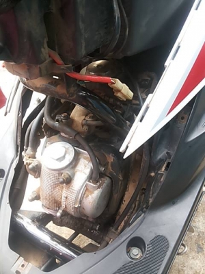 Mio ตาโตเดิมสนิท