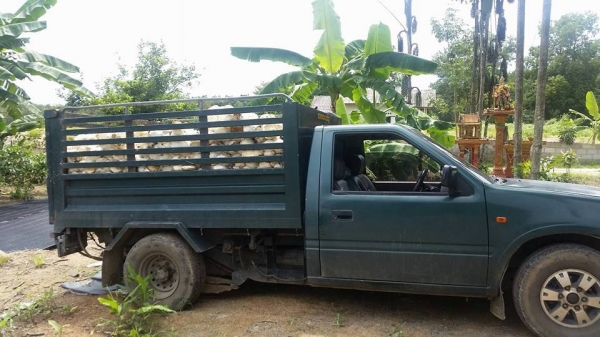 รับติดตั้งและใส่งาเทกระดกเทได้งาคว่ำหงายเทได้ ติดตั้งอุปกรณ์งาเทรับใส่อิ้งค์ฟอร์คมีรถแล้วอยากติดเพิ่มปรึกษานะครับ