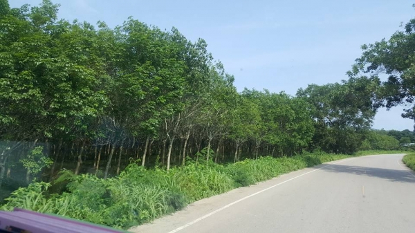 รับติดตั้งและใส่งาเทกระดกเทได้งาคว่ำหงายเทได้ ติดตั้งอุปกรณ์งาเทรับใส่อิ้งค์ฟอร์คมีรถแล้วอยากติดเพิ่มปรึกษานะครับ