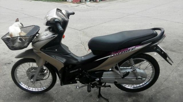 ขาย Honda wave 110 I