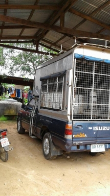 ขายรถกระบะ ปี37 พร้อมหลังคาส่งของ รถสวยสภาพดี เครื่องดี เอกสารถูกต้อง เล่มทะเบียนพร้อมโอน ราคา145,000 สนใจโทร 090-8588220คุณนะ 093-3258446คุณบิว หรือเข้าดูสินค้าอื่นๆได้ที่ www.narong2truck.com หรือ www.truck.in.th/498 หรือเพจFacebook ณรงค์ ซื้อขายรถมือสอ ขายรถกระบะ ปี37 พร้อมหลังคาส่งของ รถสวยสภาพดี เครื่องดี เอกสารถูกต้อง เล่มทะเบียนพร้อมโอน ราคา145,000 สนใจโทร 090-8588220คุณนะ 093-3258446คุณบิว หรือเข้าดูสินค้าอื่นๆได้ที่ www.narong2truck.com หรือ www.truck.in.th/498 หรือเพจFacebook ณรงค์ ซื้อขายรถมือสอ