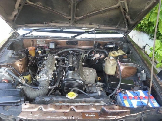 ขาย TT141 หน้าแหลม เรโทร คาร์เครื่อง 4S น้ำมัน+แก๊ส ออฟชั่นครบ พวงมาลัยเพาเวอร์ กระจกไฟฟ้า รถมีผุชายน้ำ1 จุด สีสภาพตามรูป แม็ก ลึกๆ โป่งเย็บ(เหล็ก) ลิ้นหน้า ตูดเป็ดครบ ใครชอบแนวนี้มาดูได้ครับ เอาไปเก็บอีกนิดครับ เอกสารครบ ภาษีเพิ่งขาด 0856134355 ขายตามสภา ขาย TT141 หน้าแหลม เรโทร คาร์เครื่อง 4S น้ำมัน+แก๊ส ออฟชั่นครบ พวงมาลัยเพาเวอร์ กระจกไฟฟ้า รถมีผุชายน้ำ1 จุด สีสภาพตามรูป แม็ก ลึกๆ โป่งเย็บ(เหล็ก) ลิ้นหน้า ตูดเป็ดครบ ใครชอบแนวนี้มาดูได้ครับ เอาไปเก็บอีกนิดครับ เอกสารครบ ภาษีเพิ่งขาด 0856134355 ขายตามสภา