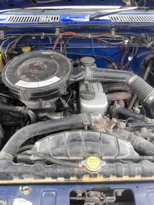 ขายเเล้วครับ ขายเเล้วครับ