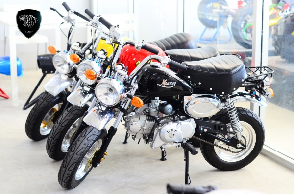 รถ/อะไหล่ !!!! ชาลี  มังกี้ กอลิล่า แต่ง  มีมากกว่า 100++ แบบ โครง cnc รวมของแต่งท่อ เบาะ เพียบ ราคาเริ่มต้น.........