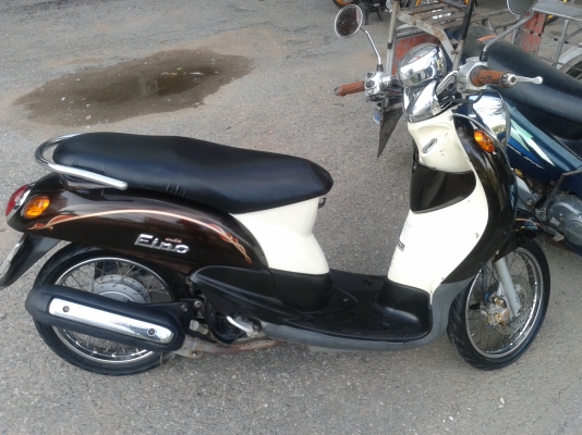 fino ปี51 fino ปี51