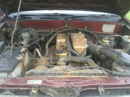 กะบะหัวเดียว กะบะหัวเดียว