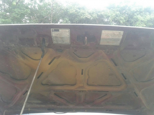 กะบะหัวเดียว กะบะหัวเดียว