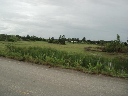 โฉนด 50 ไร่ กว้างติดทางหลวงประมาณ 320 เมตร ใกล้โครงการจัดสรรระดับโลก QUINTILION BURGE 4,000 กว่าไร่