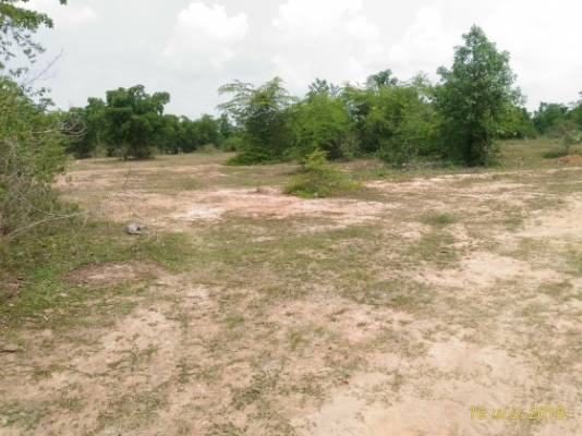 โฉนด 50 ไร่ กว้างติดทางหลวงประมาณ 320 เมตร ใกล้โครงการจัดสรรระดับโลก QUINTILION BURGE 4,000 กว่าไร่