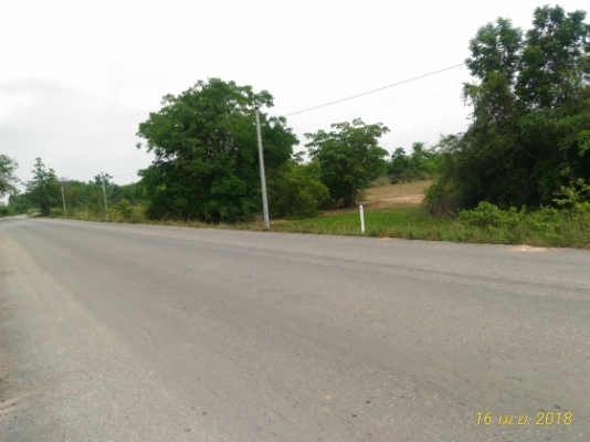 โฉนด 50 ไร่ กว้างติดทางหลวงประมาณ 320 เมตร ใกล้โครงการจัดสรรระดับโลก QUINTILION BURGE 4,000 กว่าไร่