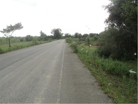 โฉนด 50 ไร่ กว้างติดทางหลวงประมาณ 320 เมตร ใกล้โครงการจัดสรรระดับโลก QUINTILION BURGE 4,000 กว่าไร่