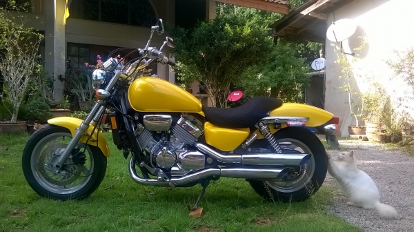 ขาย Honda Magna V-Four 750 c.c. 1995 ทะเบียนแท้โอนขนส่งจัตุจักร