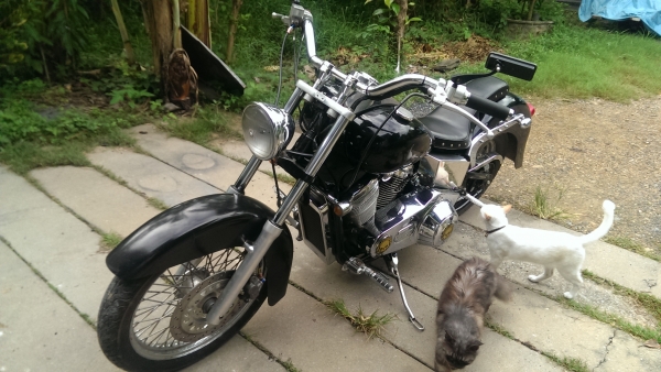 สตีด400เครื่องเงียบกิ้ฟ ขับดีมาก เอกสารครบ ส.พ.มแต่งสวยตามภาพ