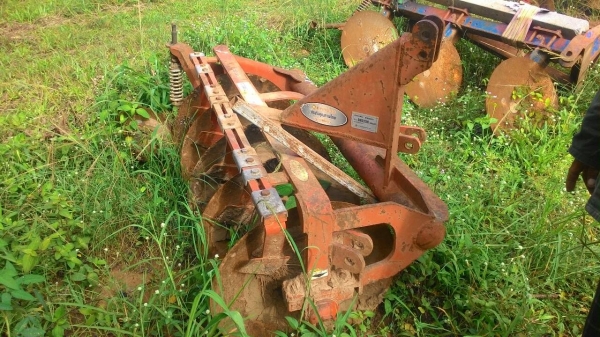 ผาน5ตราช้างสภาพดีใบดีโครงสวยพร้อมใช้คับ