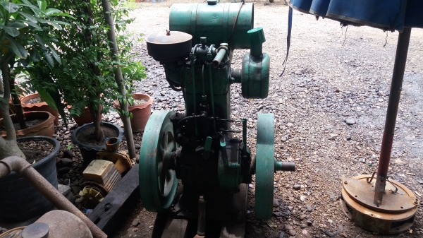 ขายสลาเวีย 5 แรง