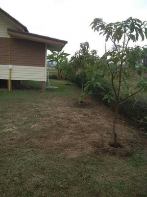 ขายบ้านเดี่ยวชั้นเดียว โครงการเขาค้อไฮแลนด์ เนื้อที่ 102 ตร.ว.