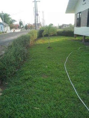 ขายบ้านเดี่ยวชั้นเดียว โครงการเขาค้อไฮแลนด์ เนื้อที่ 102 ตร.ว.