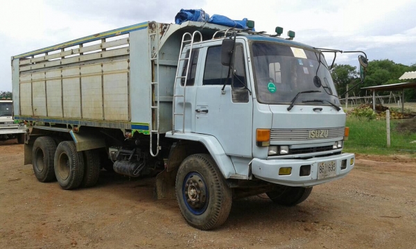 FVZ195นางฟ้าแท้ดั้มกะบะเนียมสวย