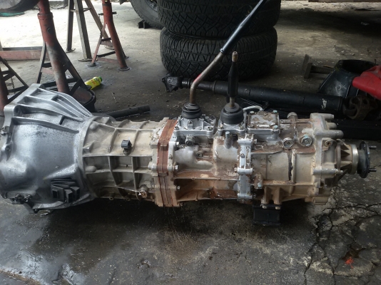 ขายกียร์ ป.ปลา