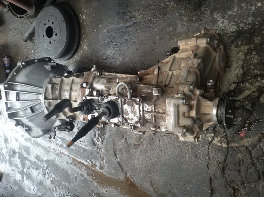 ขายกียร์ ป.ปลา