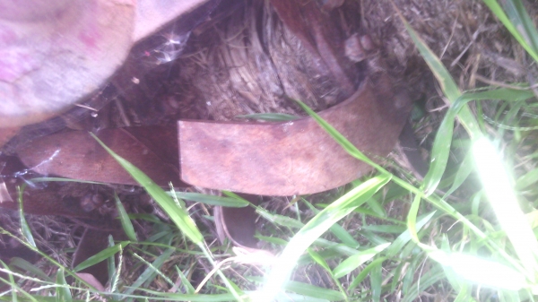 โลตารีรถไถ180ชSBK