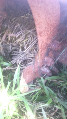 โลตารีรถไถ180ชSBK