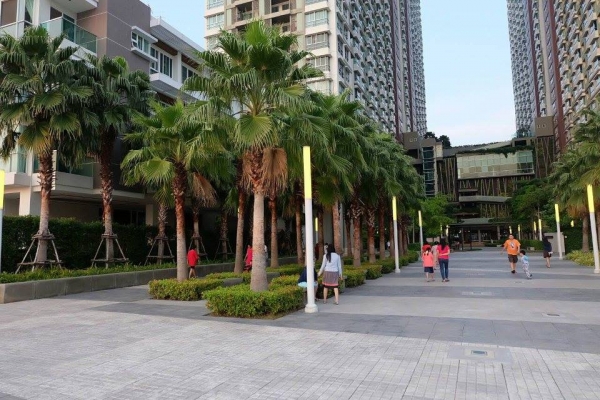 ขายคอนโด Lumpini Park Riverside พระราม 3 ชั้น 17 อาคาร C ขนาด 32 ตร.ม. ห้อง Built in