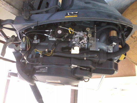 ขายเรือเร็ว