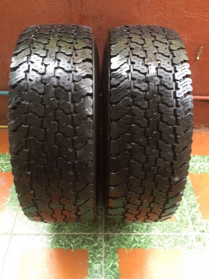 ยาง at 31 สวยๆ 2 คู่