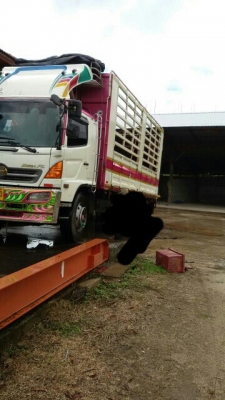 ขาย 10 ล้อ เพลาเดียว รถล่อง กระบะเหล็ก ฮีโน่ เมก้า ปี 50 / 260 แรงม้า เกียร์ ฟูเลอร์ ขาย 10 ล้อ เพลาเดียว รถล่อง กระบะเหล็ก ฮีโน่ เมก้า ปี 50 / 260 แรงม้า เกียร์ ฟูเลอร์