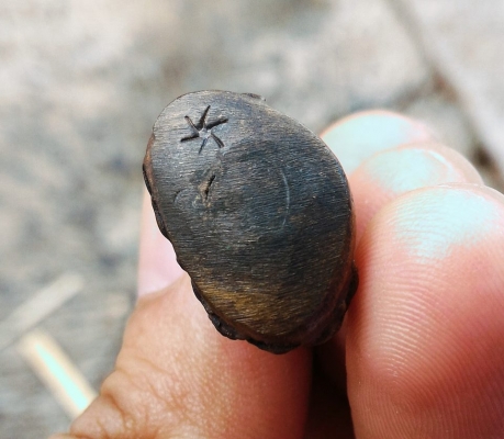 หลวงปู่่สรวง พระอุดกริ่งชัยวรมัน ตอกโค๊ดดอกจันทร์แท้ พระอริยะเจ้าแห่งทุ่งละลม จ.ศรีสะเกษ เสกรวย สภาพสวยๆ ได้จากลูกหลานข้างๆ วัดครับ เด่นโชคลาภสุดๆ