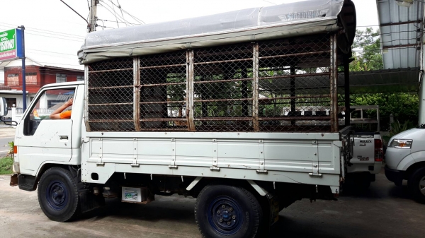 ขาย4ล้อกระบะบรรทุก มีหลังคา TOYOTA เครื่องดี14B 115 แรง ยาง7.50R15แชชซีสวย เกียร์สั้น เพลาลอย ยกหัวได้ เอกสารพร้อมโอน ดูรถได้ที่ อ.ประทาย จ.นครราชสีมา TEL.0857698049 0887115178 ID LINE ps5599(ราคา190,000) ขาย4ล้อกระบะบรรทุก มีหลังคา TOYOTA เครื่องดี14B 115 แรง ยาง7.50R15แชชซีสวย เกียร์สั้น เพลาลอย ยกหัวได้ เอกสารพร้อมโอน ดูรถได้ที่ อ.ประทาย จ.นครราชสีมา TEL.0857698049 0887115178 ID LINE ps5599(ราคา190,000)