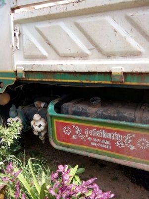 ขายคับ 550,000 ขายคับ 550,000